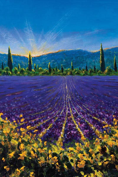 Mountain Sunrises & Sunsets: Sault Village In Vaucluse Lavender Flower Field Provence France by Valery Rybakow