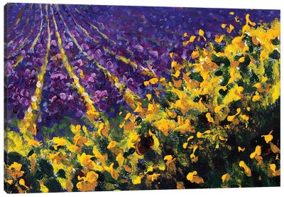 Flower Meadow Yellow Sunny Wildflowers And Purple Lavender Field Canvas Art Print - Lavender Art