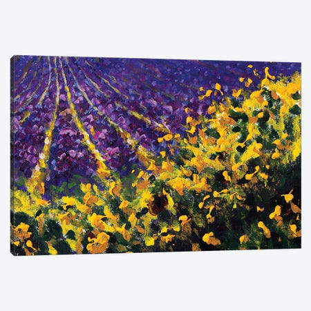 Flower Meadow Yellow Sunny Wildflowers And Purple Lavender Field Canvas Print #VRY773} by Valery Rybakow Canvas Artwork