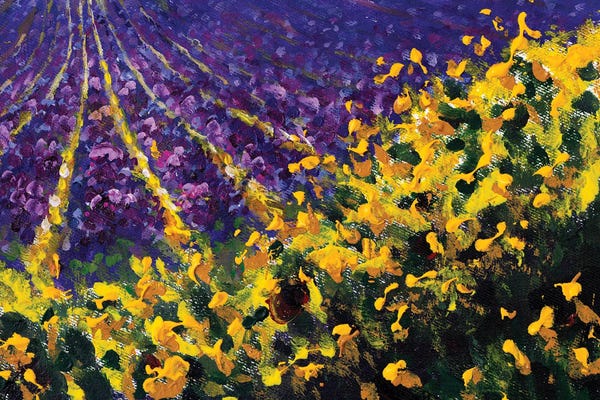 Herbs: Flower Meadow Yellow Sunny Wildflowers And Purple Lavender Field by Valery Rybakow