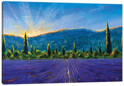 Nature Landscape Violet Lavender Field Yellow Sunny Flowers In Provence France Canvas Art Print - Lavender Art