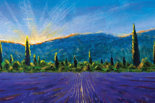 Herbs: Nature Landscape Violet Lavender Field Yellow Sunny Flowers In Provence France by Valery Rybakow