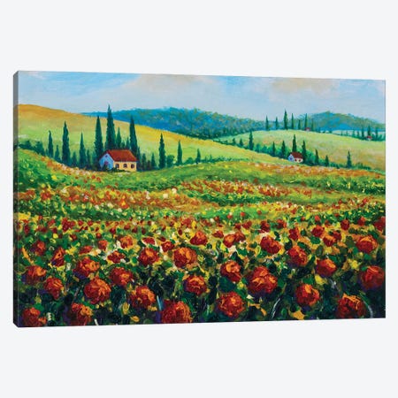 Provence Nature Landscape Fields Of Red Poppies Canvas Print #VRY781} by Valery Rybakow Art Print
