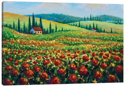 Provence Nature Landscape Fields Of Red Poppies Canvas Art Print
