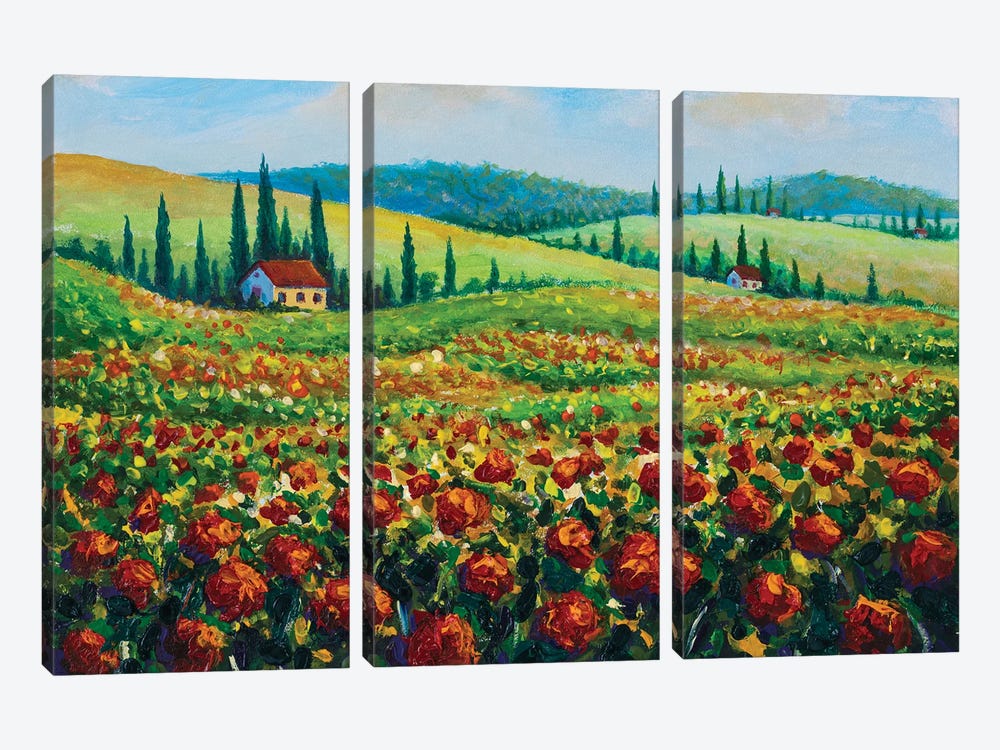 Provence Nature Landscape Fields Of Red Poppies by Valery Rybakow 3-piece Canvas Art
