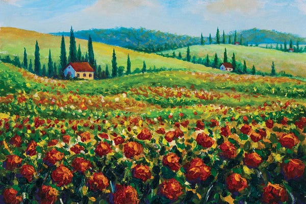 Provence-Alpes-Côte d'Azur: Provence Nature Landscape Fields Of Red Poppies by Valery Rybakow