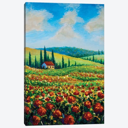 Farmland In Tuscany, Italy Canvas Print #VRY782} by Valery Rybakow Canvas Art Print