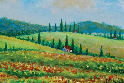Landscape With Colorful Flowered Field In Tuscany by Valery Rybakow metal wall art