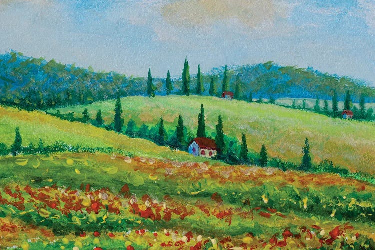 Landscape With Colorful Flowered Field In Tuscany