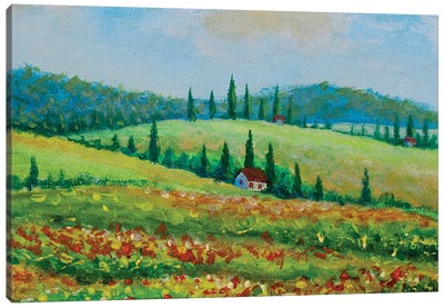 Landscape With Colorful Flowered Field In Tuscany Canvas Art Print