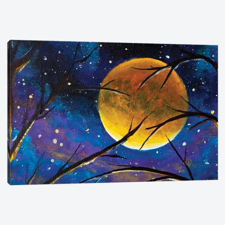 Mystic Night Starry Sky Space Moon Canvas Print #VRY789} by Valery Rybakow Art Print