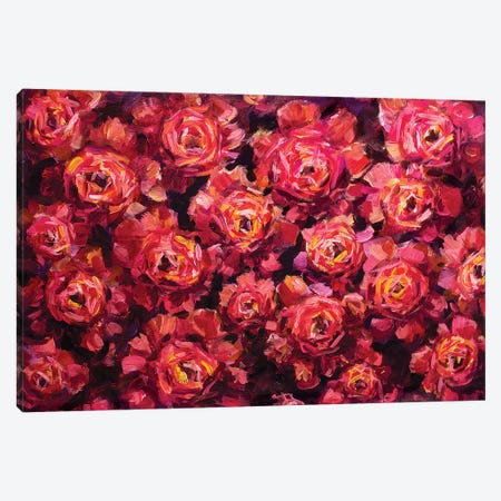 Red Rose Background Canvas Print #VRY78} by Valery Rybakow Canvas Print