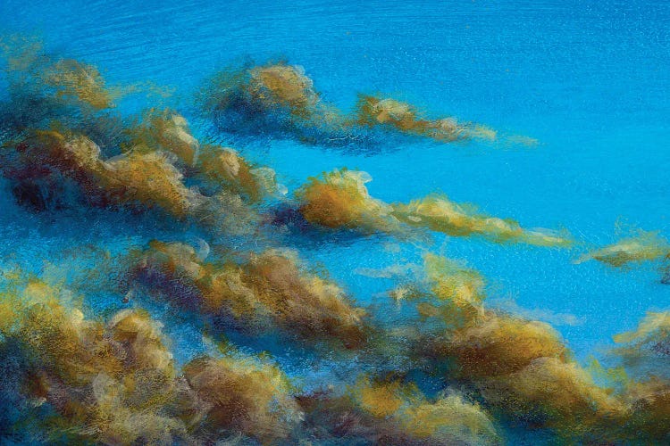 Beautiful Warm Clouds In The Summer Sky