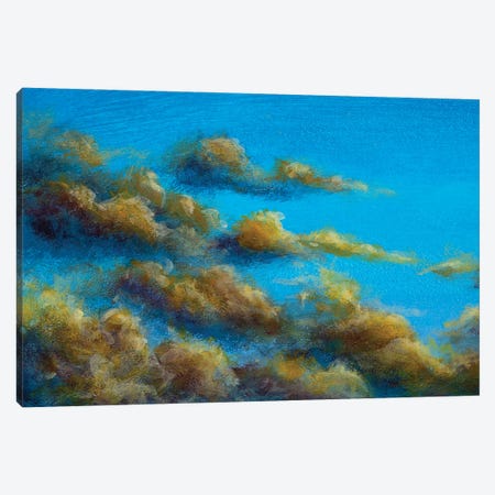 Beautiful Warm Clouds In The Summer Sky Canvas Print #VRY806} by Valery Rybakow Canvas Print