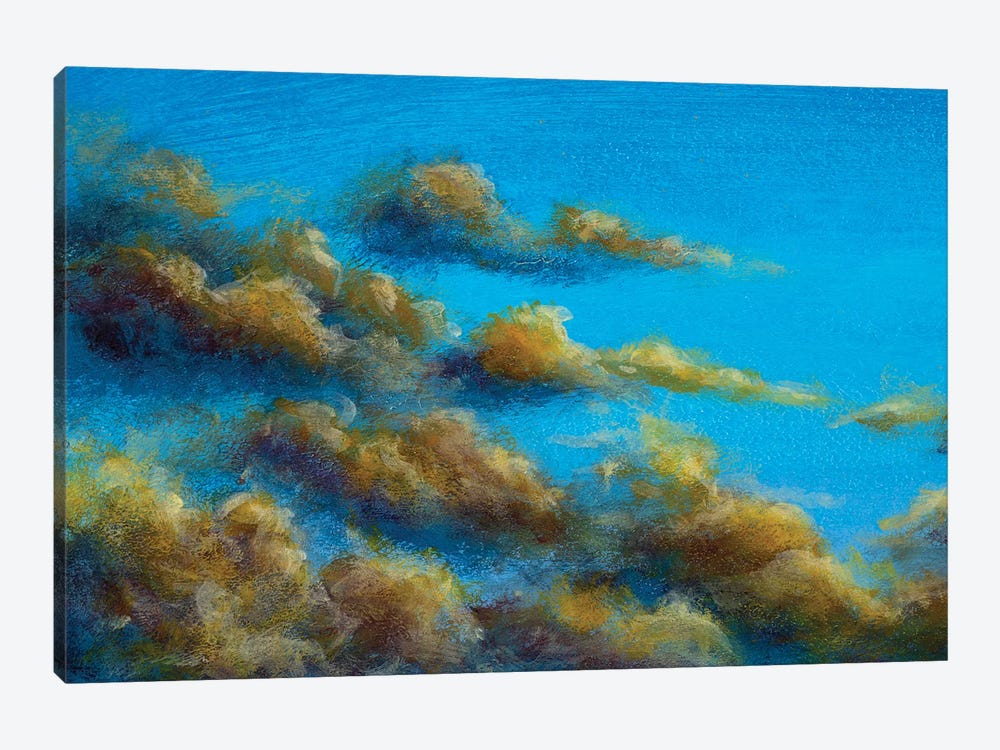 Beautiful Warm Clouds In The Summer Sky by Valery Rybakow 1-piece Canvas Print
