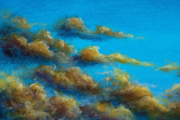 Beautiful Warm Clouds In The Summer Sky
