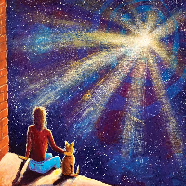 Man With Cat Sit And Watch Cosmos