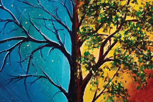 Tree Against Backdrop Of Day And Night