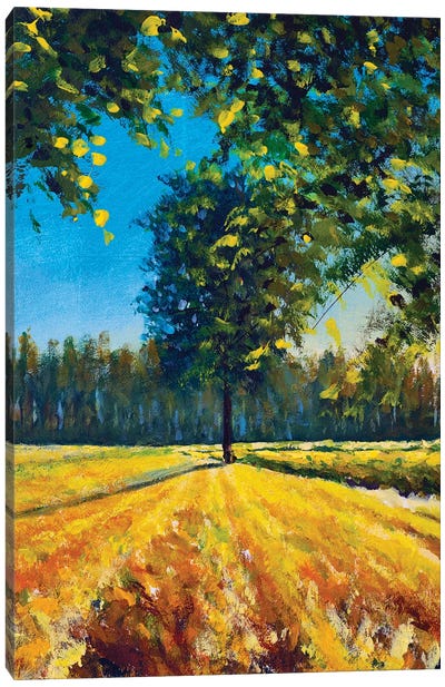 Warm Summer Landscape Nature Big Tree In The Field Canvas Art Print - Valery Rybakow