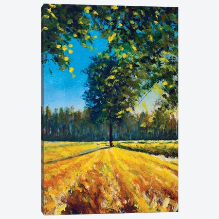 Warm Summer Landscape Nature Big Tree In The Field Canvas Print #VRY833} by Valery Rybakow Canvas Art Print