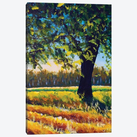 Warm Summer Landscape Nature Big Tree In The Field Canvas Print #VRY834} by Valery Rybakow Canvas Artwork