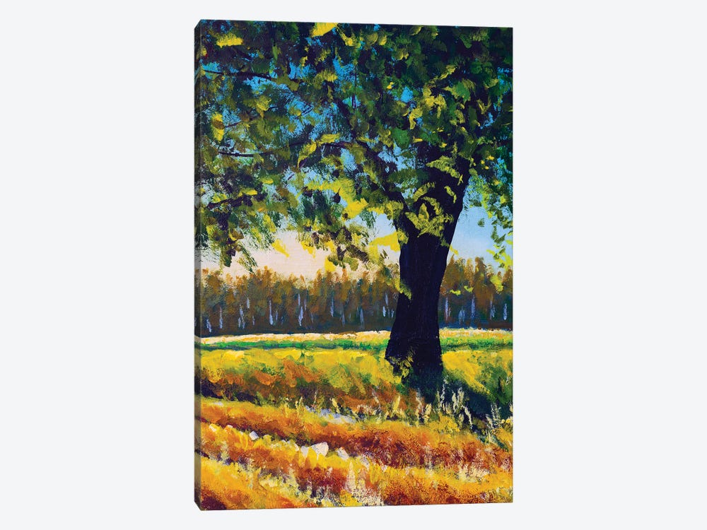 Warm Summer Landscape Nature Big Tree In The Field by Valery Rybakow 1-piece Canvas Artwork