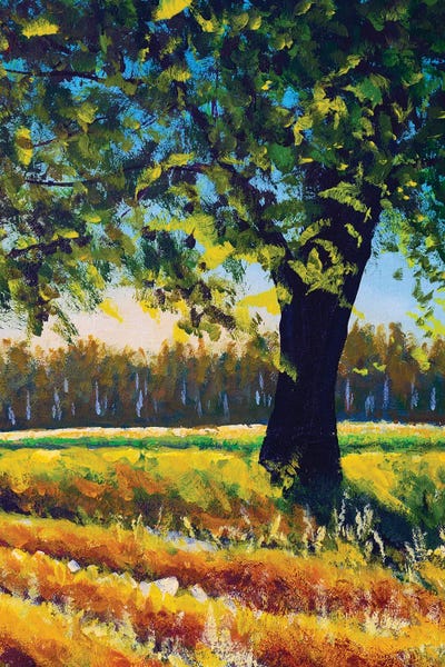 Warm Summer Landscape Nature Big Tree In The Field Ver. II
