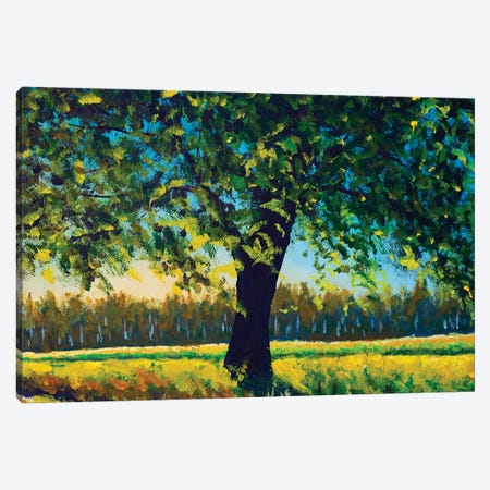 Summer Landscape Nature Big Tree In Field Canvas Print #VRY835} by Valery Rybakow Canvas Art