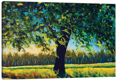 Summer Landscape Nature Big Tree In Field Canvas Art Print - Valery Rybakow