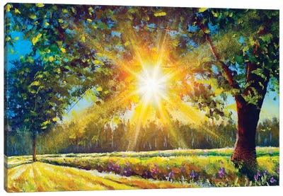 Big Oak Tree In The Sun Sunny Landscape Canvas Art Print - Valery Rybakow