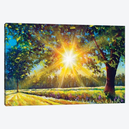 Big Oak Tree In The Sun Sunny Landscape Canvas Print #VRY836} by Valery Rybakow Canvas Art