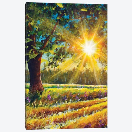 Big Oak Tree In The Sun Sunny Landscape Canvas Print #VRY837} by Valery Rybakow Canvas Artwork