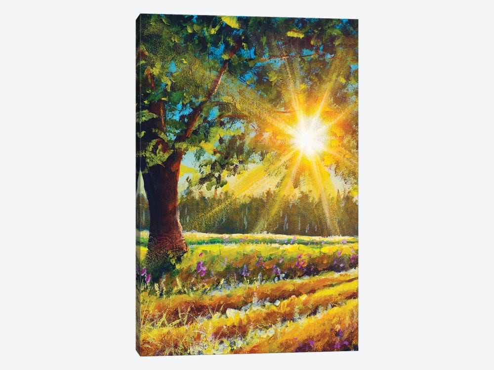 Big Oak Tree In The Sun Sunny Landscape by Valery Rybakow 1-piece Art Print