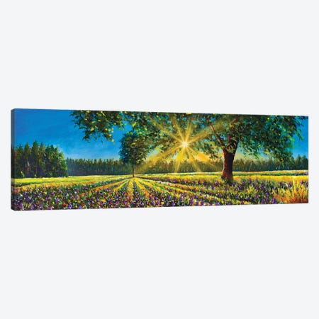 Extra Wide Panorama Of Gorgeous Sunny Landscape Field, Big Trees And Forest Canvas Print #VRY838} by Valery Rybakow Art Print