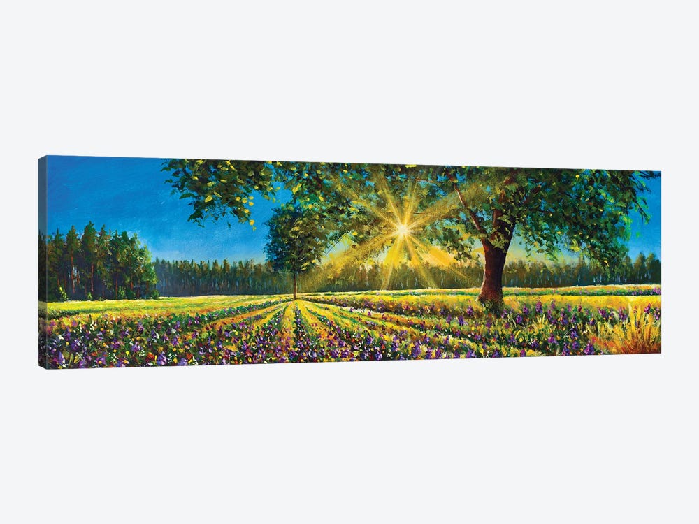 Extra Wide Panorama Of Gorgeous Sunny Landscape Field, Big Trees And Forest by Valery Rybakow 1-piece Canvas Artwork