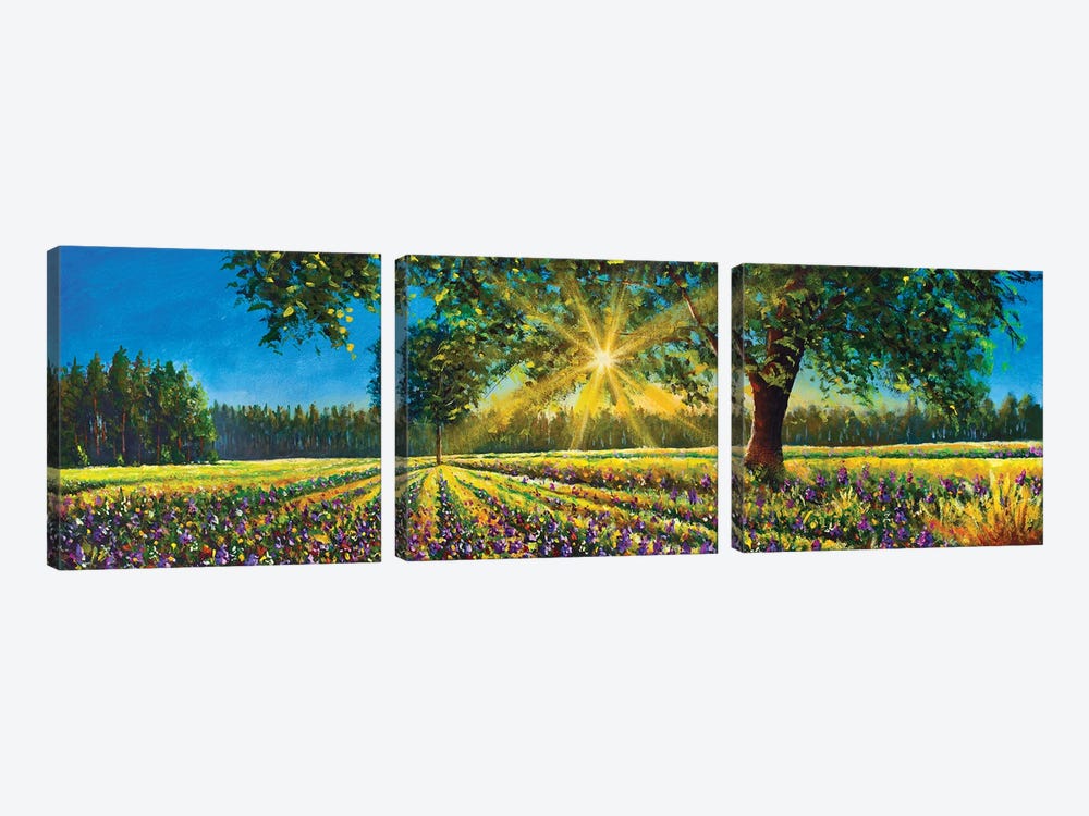 Extra Wide Panorama Of Gorgeous Sunny Landscape Field, Big Trees And Forest by Valery Rybakow 3-piece Canvas Wall Art