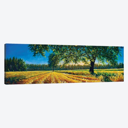 Extra Wide Panorama Of Gorgeous Field And Tree In Summer Autumn Canvas Print #VRY839} by Valery Rybakow Canvas Art Print