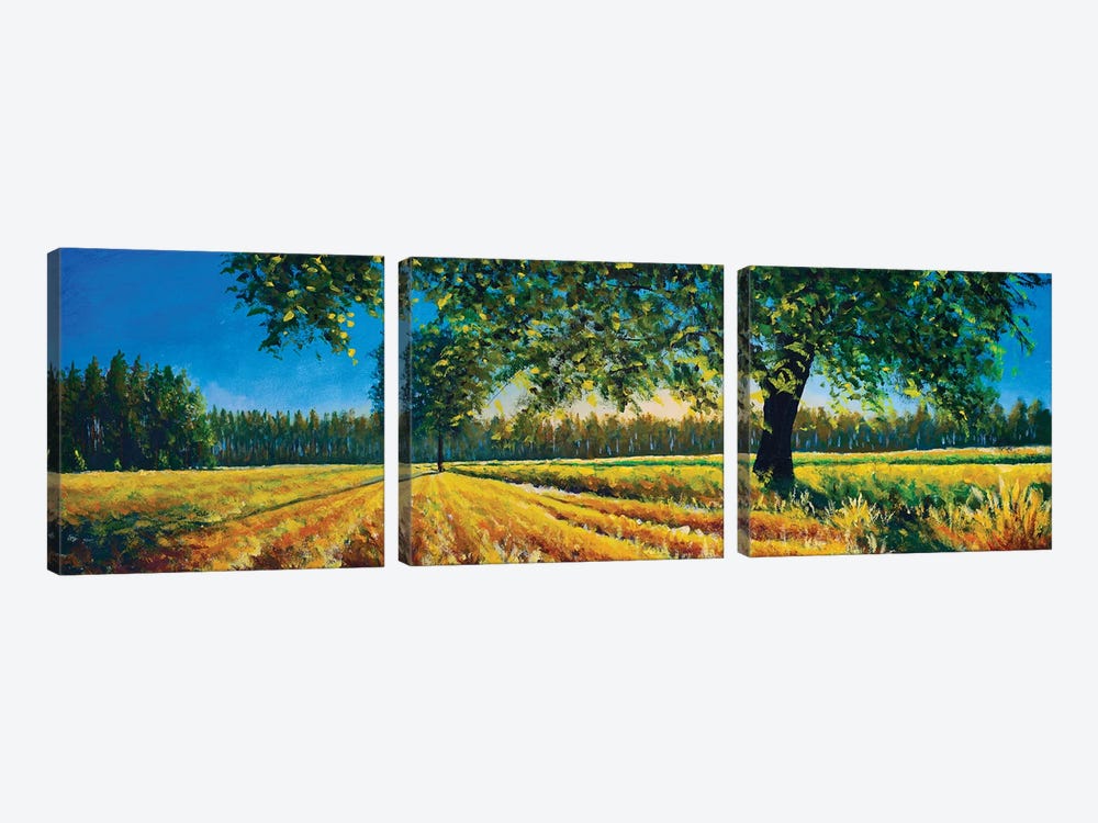 Extra Wide Panorama Of Gorgeous Field And Tree In Summer Autumn by Valery Rybakow 3-piece Canvas Art Print