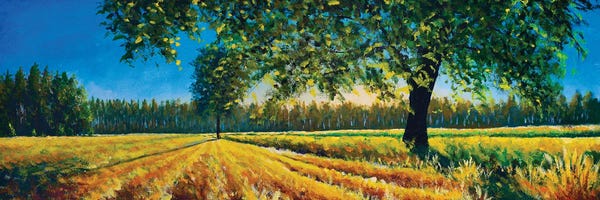 Valery Rybakow: Extra Wide Panorama Of Gorgeous Field And Tree In Summer Autumn by Valery Rybakow