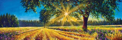 Extra Wide Panorama Of Gorgeous Sunny Landscape by Valery Rybakow canvas print