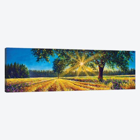 Extra Wide Panorama Of Gorgeous Sunny Landscape Canvas Print #VRY840} by Valery Rybakow Canvas Wall Art