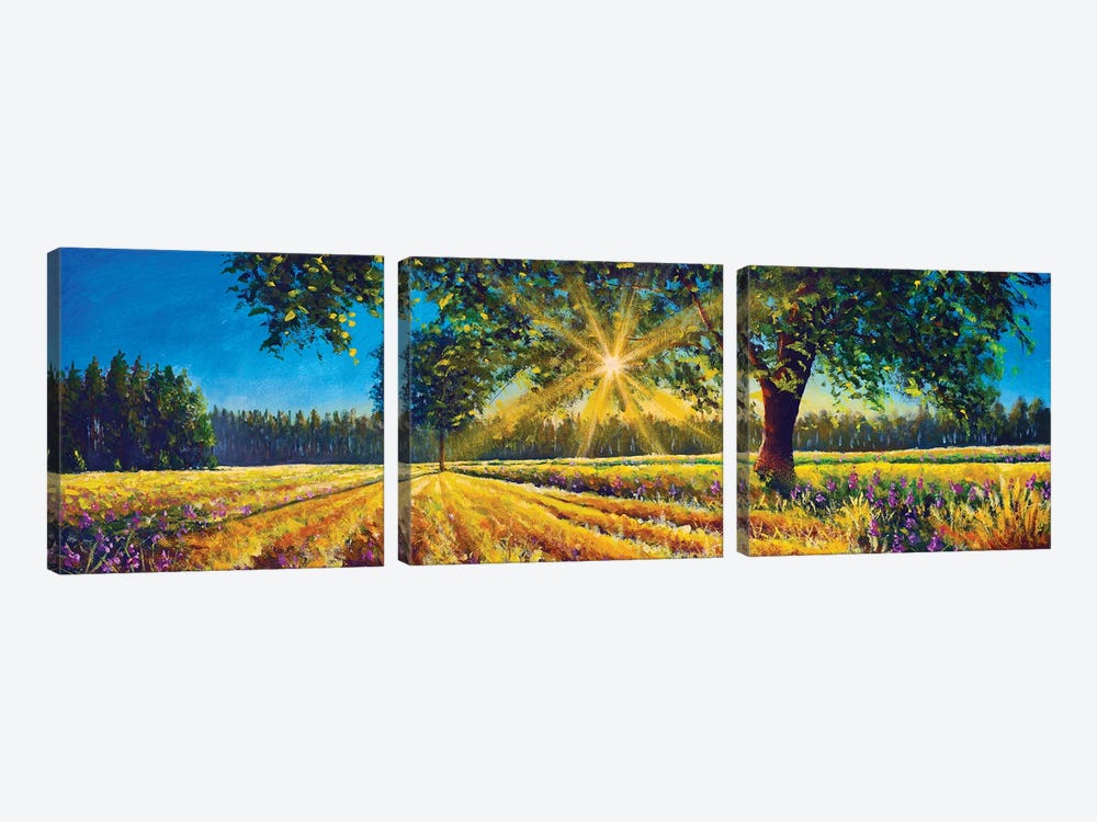 Extra Wide Panorama Of Gorgeous Sunny Landscape by Valery Rybakow 3-piece Canvas Art Print