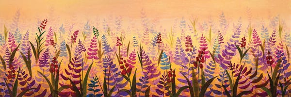 Panoramic View Field Of Delicate Blossoming Flowers Violet Wildflower Extra Wide Panorama