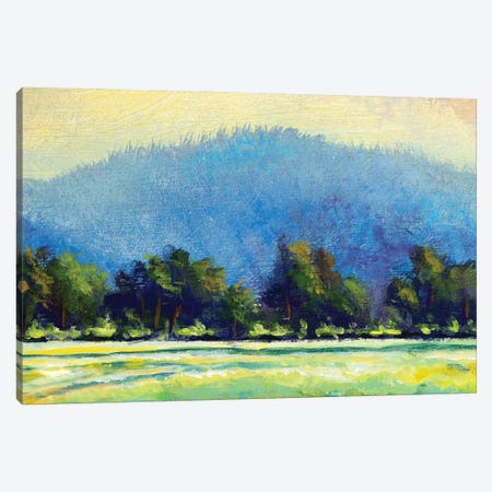Sunny Day In Nature. Illustration Of Field, Trees And Big Mountain Canvas Print #VRY863} by Valery Rybakow Canvas Artwork