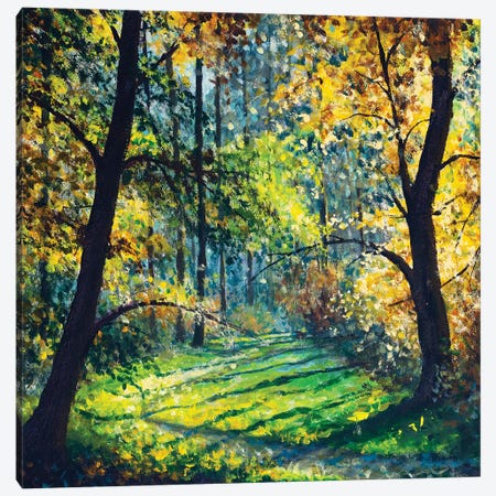 Sunny Forest,Beautiful Sun In Trees On Road In Park Canvas Print #VRY868} by Valery Rybakow Canvas Artwork
