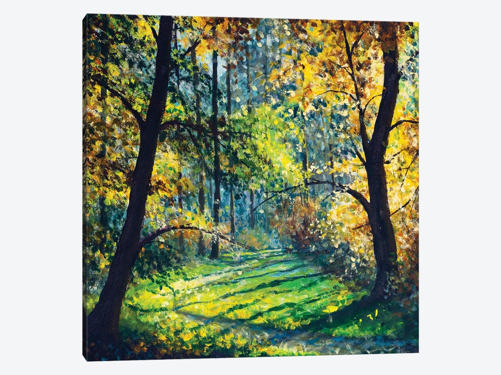 Sunny Forest,Beautiful Sun In Trees On Road In Park by Valery Rybakow 1-piece Canvas Art Print