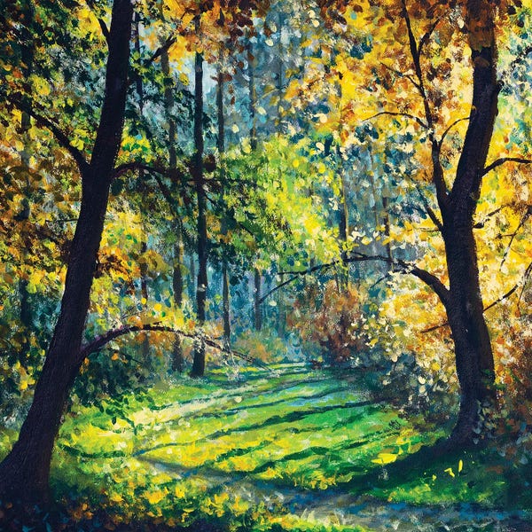 Valery Rybakow: Sunny Forest,Beautiful Sun In Trees On Road In Park by Valery Rybakow