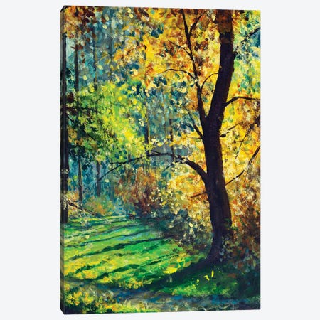 Sunny Forest, Beautiful Sun In Trees Canvas Print #VRY869} by Valery Rybakow Canvas Art