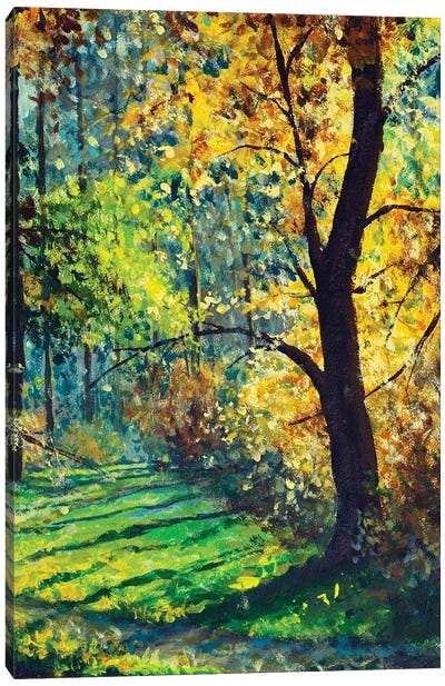 Sunny Forest, Beautiful Sun In Trees Canvas Art Print - Valery Rybakow