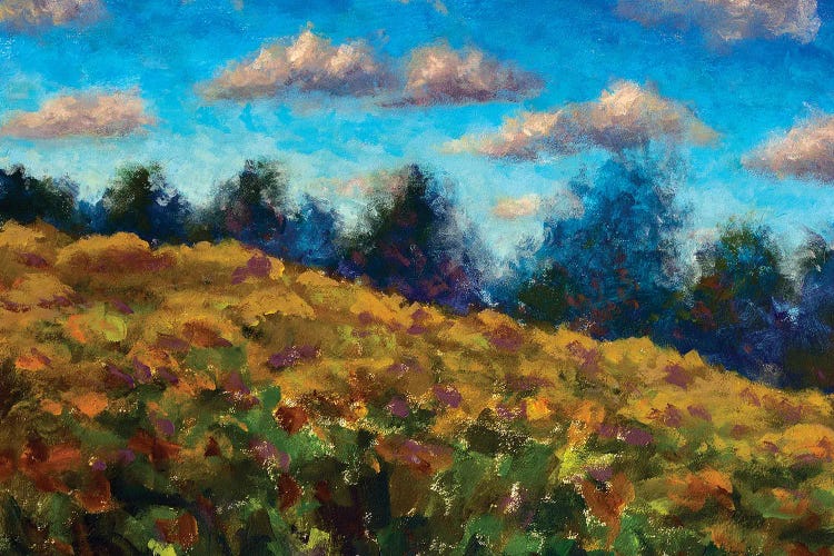 Brown Field In Front Of Forest Against Blue Sky In Autumn by Valery Rybakow wall art